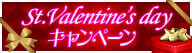 wakuwakumail-vd-campaign